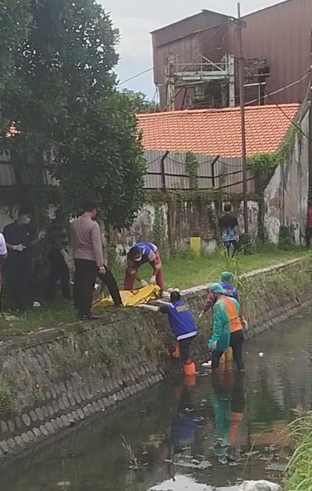 Mayat MR X Mengapung Di Sungai, Gegerkan Warga Candi Sidoarjo.