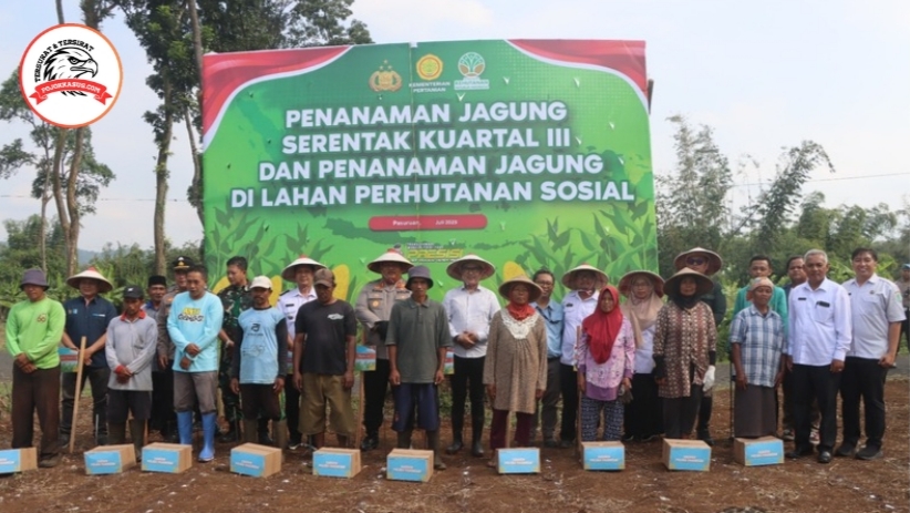 Kolaborasi Untuk Swasembada : Polres Pasuruan Tanam Jagung Serentak di Lahan Perhutanan Sosial