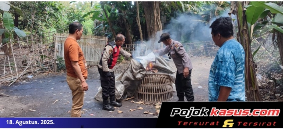 Tindaklanjuti Laporan Warga Polisi Bongkar Arena Sabung Ayam di Sidoarjo