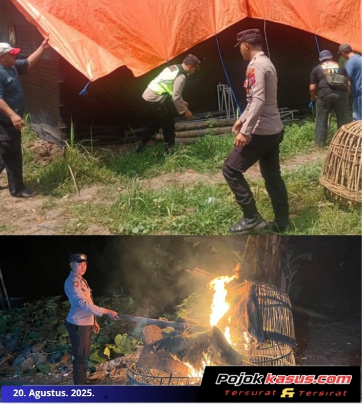 Polisi Bongkar Dua Lokasi Arena Judi Sabung Ayam di Malang