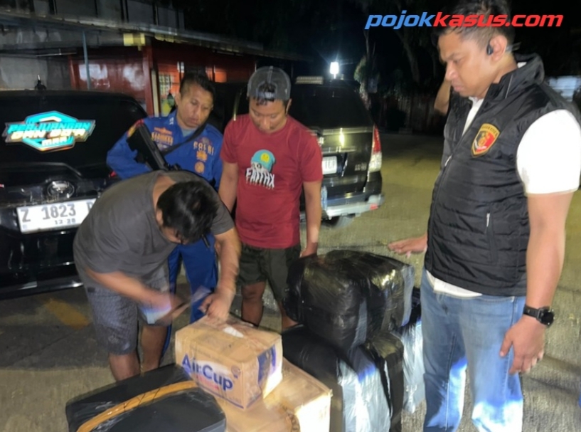 Polisi Airud Gagalkan Pengiriman 50 Ribu Benih Lobster Ilegal di Cianjur, Negara Berpotensi Rugi Rp7,5 Miliar
