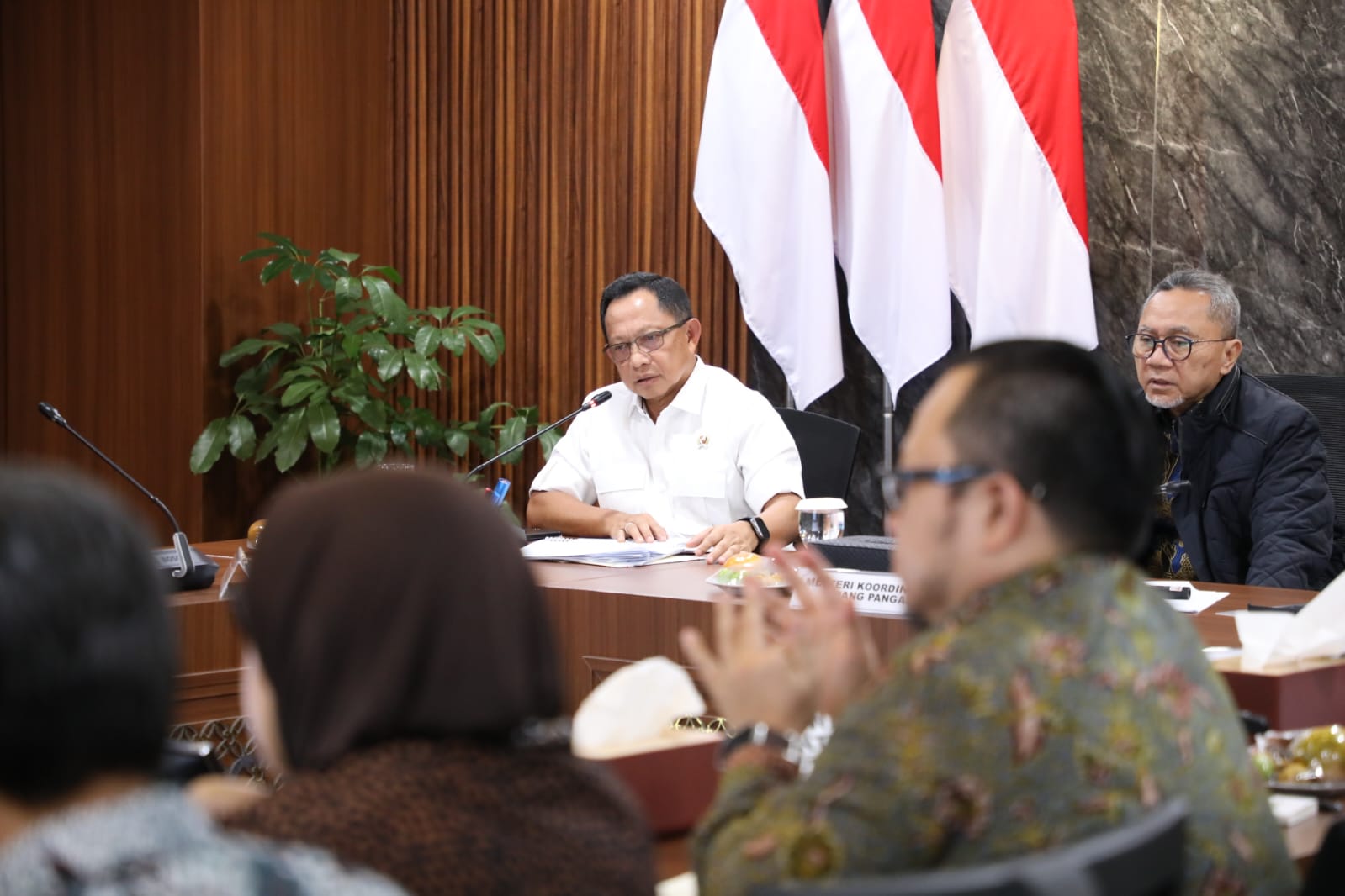 Pada Rakortas Tingkat Menteri, Mendagri Uraikan Peran Pemda Dukung Pelaksanaan Program PSEL