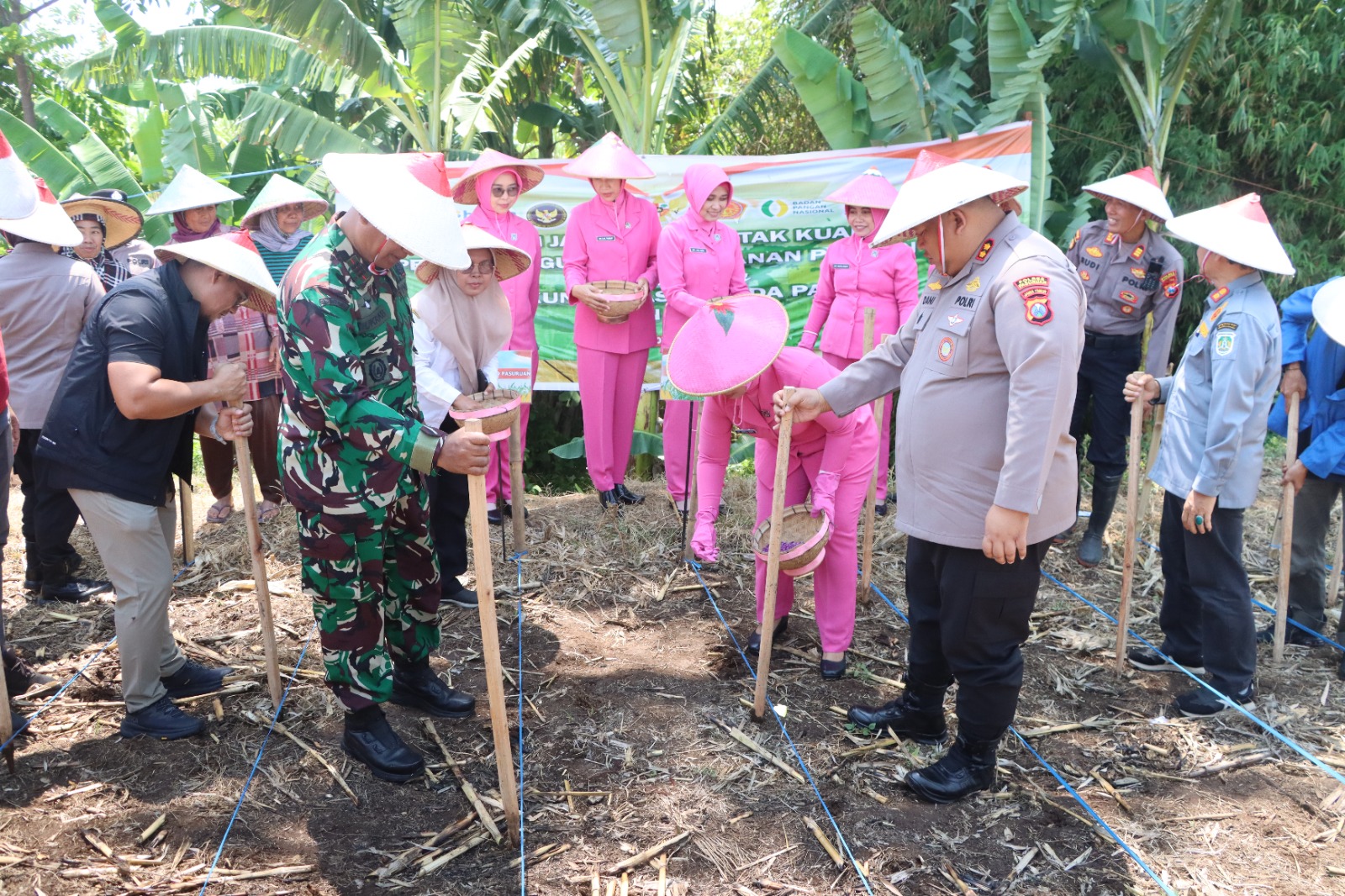 Dukung Swasembada Pangan, Polres Pasuruan Gelar Penanaman Jagung Serentak Kuartal IV di Desa Martopuro