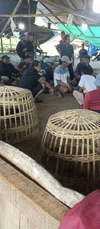 Praktik Judi Sabung Ayam Di Desa Pohsangit ngisor Di Duga KEBAL HUKUM,”Kinerja Aparat Penegak Hukum Probolinggo Di Sorot Publik.