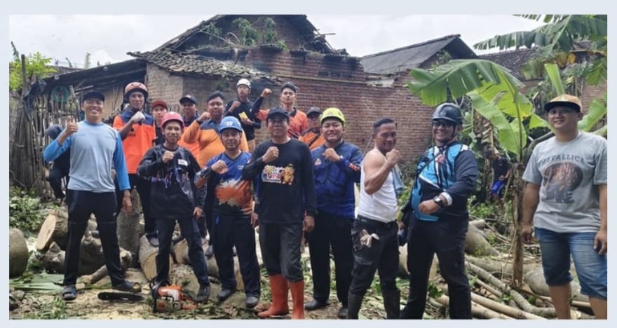 Pohon tumbang lumpuhkan