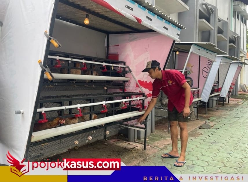 Lapas Sidoarjo Panen Telur, Bukti Pembinaan Produktif