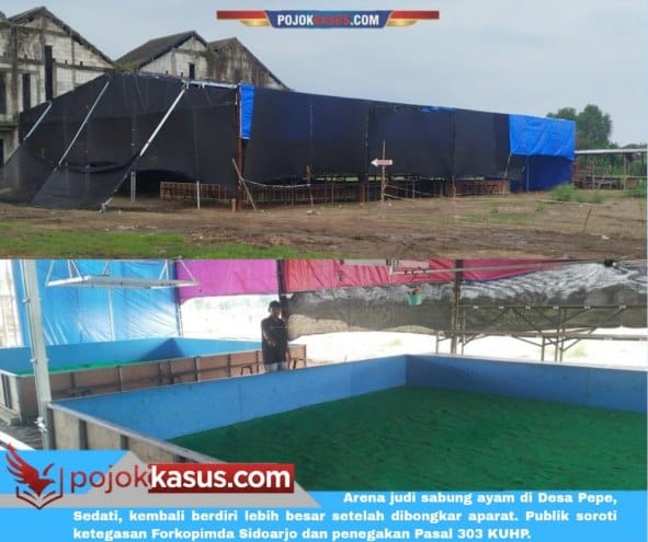 Forkopimda Di Uji.”Judi Sabung Ayam Menguat Lagi”