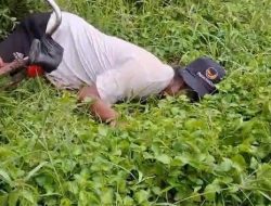 Warga Desa Sumberglagah Geger, Kakek Rosid Ditemukan Meninggal