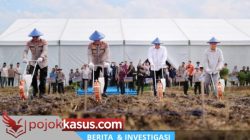 Tanam Jagung Serentak Dukung Swasembada Pangan Nasional