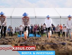 Tanam Jagung Serentak Dukung Swasembada Pangan Nasional