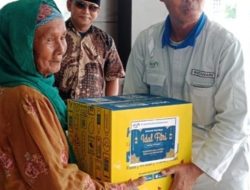 PT Indonesia Smelting