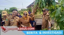 Panen Kelengkeng Sidoarjo Melejit Lahan Tidur Disulap Jadi Wisata