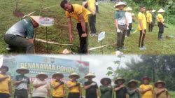 Dari Kalisat untuk Alam, TNI–Polri dan Warga Tanam Harapan Hijau