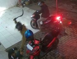 Teror Begal Mengguncang Probolinggo! Warga Berharap Aparat Bertindak Cepat