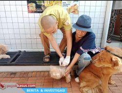 Gerakan Bangsawan Gelar Vaksinasi Rabies Gratis di Cikutra