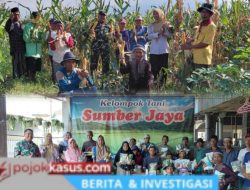 Perkuat Semangat Petani Wujudkan Ketahanan Pangan, Babinsa Suwayuwo Kawal Pembagian Bibit Jagung