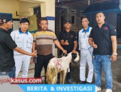 Sambut Iduladha PT IST Salurkan Belasan Kambing Kurban