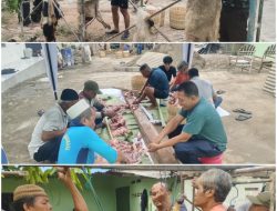 Subdenpom Pasuruan Sembelih Kambing Kurban