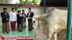 Idul Adha Sidoarjo 2026: Bupati Serahkan Sapi 800 Kg ke Masjid Agung & Sapi Presiden ke Jabon