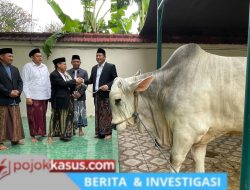Idul Adha Sidoarjo 2026: Bupati Serahkan Sapi 800 Kg ke Masjid Agung & Sapi Presiden ke Jabon