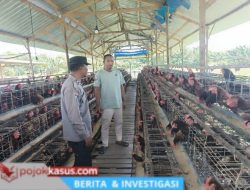 Bhabinkamtibmas Rembang Pantau Peternakan Ayam Dukung Ketahanan Pangan