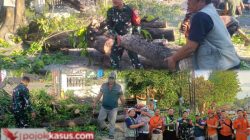 Babinsa Gempol Sigap Evakuasi Pohon Patah, Arus Lalu Lintas Gempol–Malang