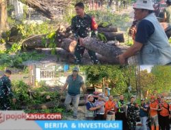 Babinsa Gempol Sigap Evakuasi Pohon Patah, Arus Lalu Lintas Gempol–Malang
