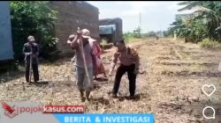 Polsek Tosari Pantau Lahan Kentang di Ngadiwono, Dukung Asta Cita Ketahanan Pangan