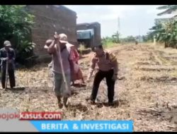 Polsek Tosari Pantau Lahan Kentang di Ngadiwono, Dukung Asta Cita Ketahanan Pangan