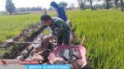 Babinsa Kraton dan Warga Gotong Royong Bangun Selokan, Dukung Kelancaran Pengairan Sawah