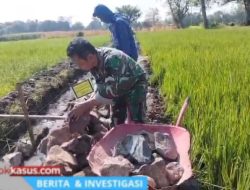 Babinsa Kraton dan Warga Gotong Royong Bangun Selokan, Dukung Kelancaran Pengairan Sawah