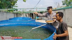 Bhabinkamtibmas Polsek Rembang Pantau Budidaya Lele, Dukung Ketahanan Pangan Nasional