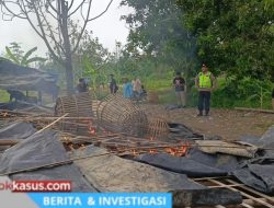 Habis Sudah! Lapak Judi Sabung Ayam di Pemalang Rata dengan Tanah