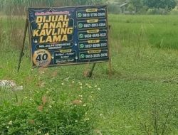 Lahan Sawah Produktif, Terancam Punah, Karna Ulah Pengembang Tanah Kavling.