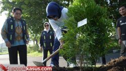 Mimik Idayana Tanam Pucuk Merah, Sidoarjo Makin Asri