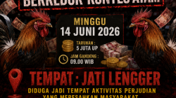 Warga Desak Aparat Awasi Kontes Ayam Bangkok Jatilengger Blitar.