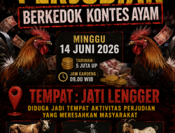 Warga Desak Aparat Awasi Kontes Ayam Bangkok Jatilengger Blitar.