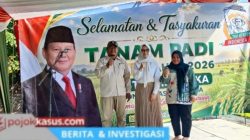 Tamindo & KUTT Jalin Kerja Sama di Tanam Padi Serentak Beji