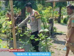Bhabinkamtibmas Polsek Bangil Dorong Ketahanan Pangan Lewat P2B di Kalirejo