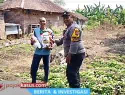 Polisi di Rembang Bantu Bibit Jagung dan Dampingi Petani Kelola Lahan