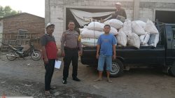 Jagung Petani Sukorejo Tembus Bulog, Polisi Kawal Pengiriman Hasil Panen