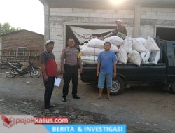Jagung Petani Sukorejo Tembus Bulog, Polisi Kawal Pengiriman Hasil Panen