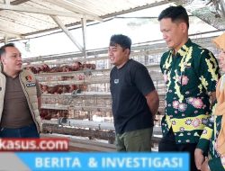 Satgas Pangan Bersama Disperindag Pantau Stabilitas Harga Telur Ayam