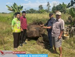 Penemuan Watu Dakon Prasejarah Perkaya Sejarah Desa Wonosari-Gempol Pasuruan