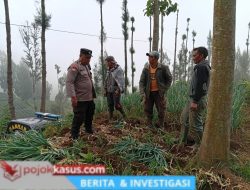Polsek Tosari Dampingi Petani Bawang, Wujudkan Ketahanan Pangan di Lereng Bromo