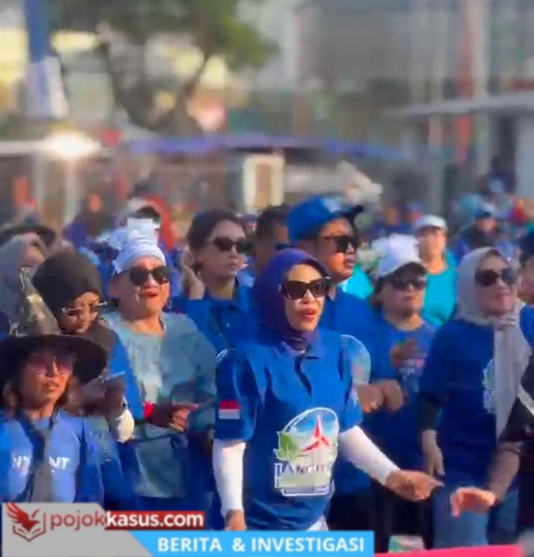 Aksi Nyata Demokrat