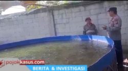 Tak Hanya Jaga Kamtibmas, Polisi di Rembang Dampingi Budidaya Lele Warga
