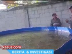 Tak Hanya Jaga Kamtibmas, Polisi di Rembang Dampingi Budidaya Lele Warga