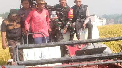Panen Melimpah Kepulungan Perkuat Kemitraan Petani Bersama PT SBE