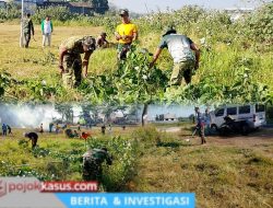 Sinergi TNI, Polri, dan Warga Warnai Kerja Bakti Massal di Lapangan Jatirejo Lekok